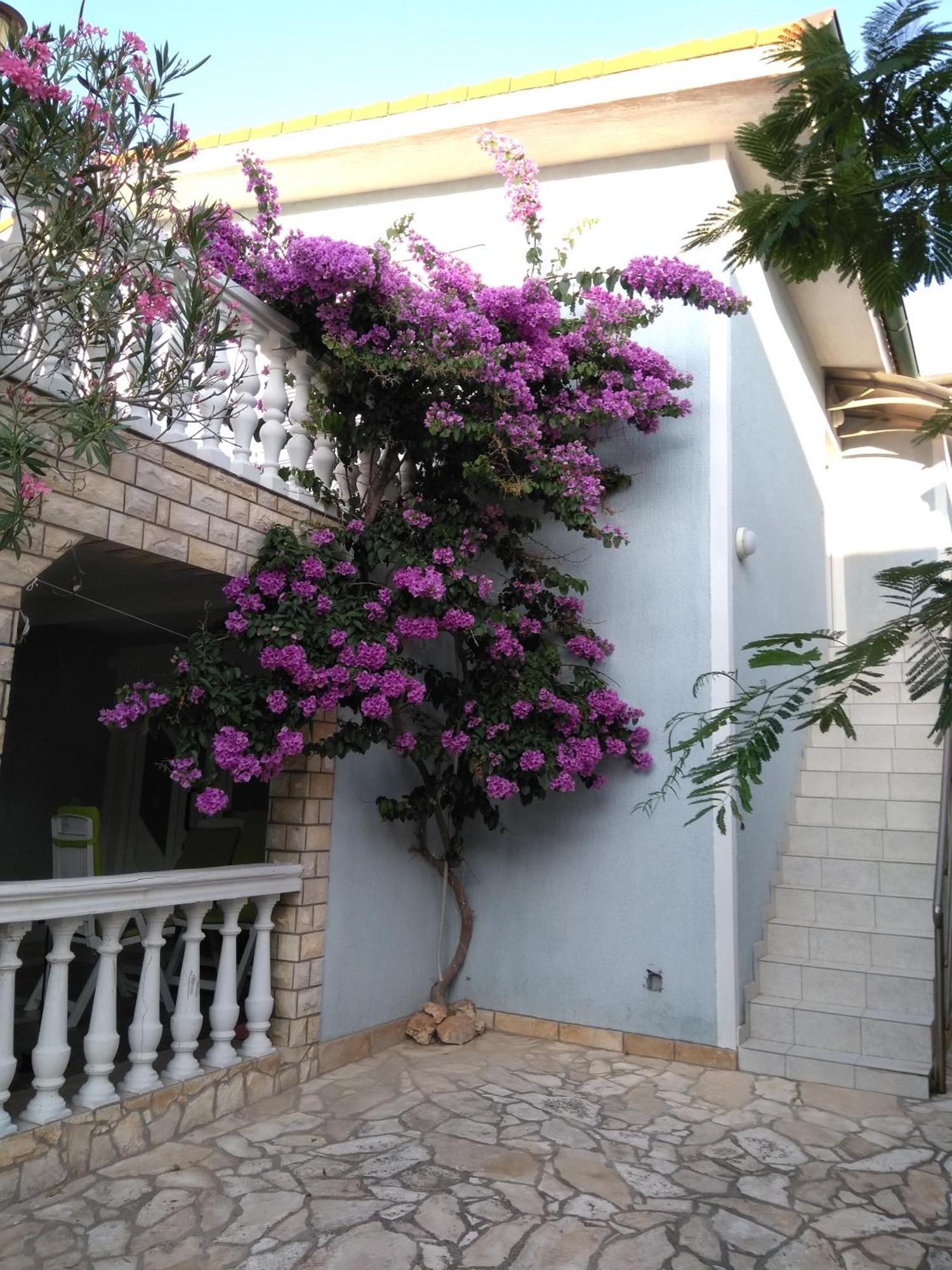 Apartmani Korade Vir Esterno foto