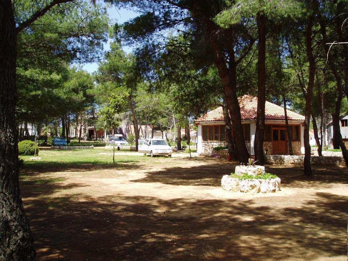 Apartmani Korade Vir Esterno foto
